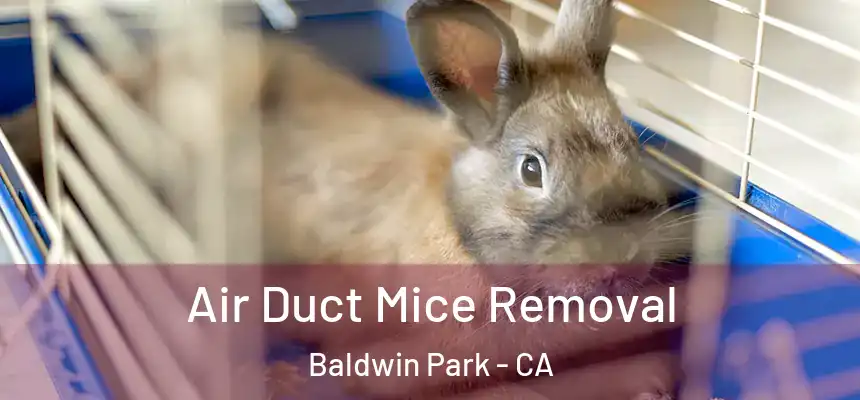  Air Duct Mice Removal Baldwin Park - CA