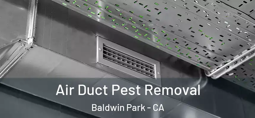  Air Duct Pest Removal Baldwin Park - CA