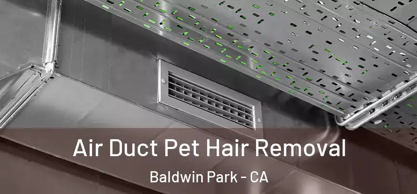  Air Duct Pet Hair Removal Baldwin Park - CA