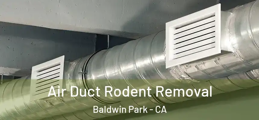  Air Duct Rodent Removal Baldwin Park - CA