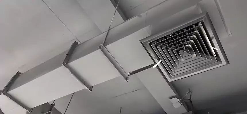 Our Pest Removal From Ducts Services in Baldwin Park, CA