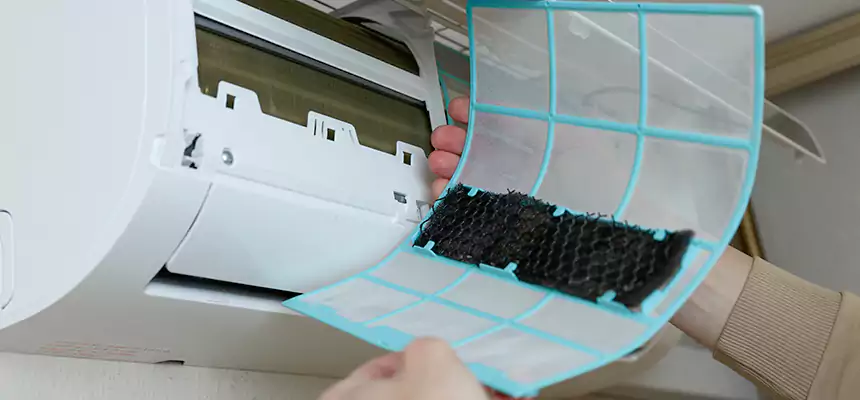 Gentle Ductwork Odor-Control Pet Dander Duct Cleaning in Baldwin Park, CA