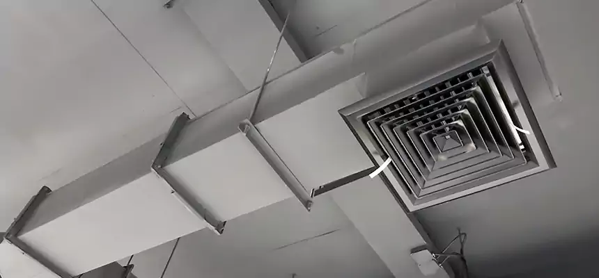 Our Rodent Droppings In Vents Services in Baldwin Park, CA