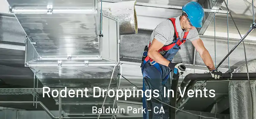  Rodent Droppings In Vents Baldwin Park - CA