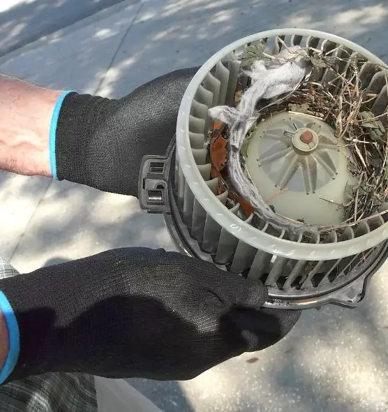 About Air Duct Mice Removal in Baldwin Park, CA