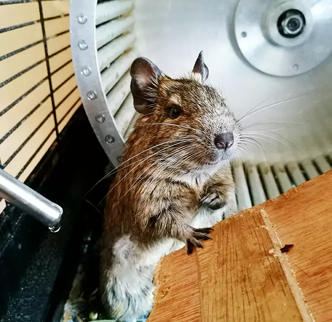 Why Homeowners & Businesses Trust Us Baldwin Park, CA